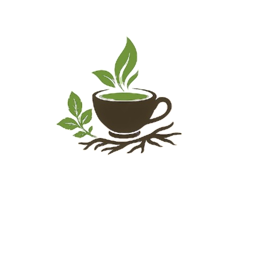 VedChaa