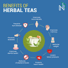 Supports Hormonal Balance